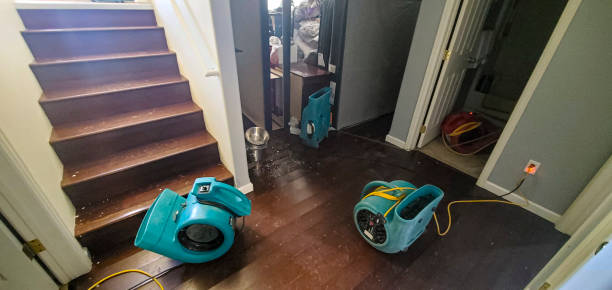 Best Water damage restoration near me  in Clintwood, VA