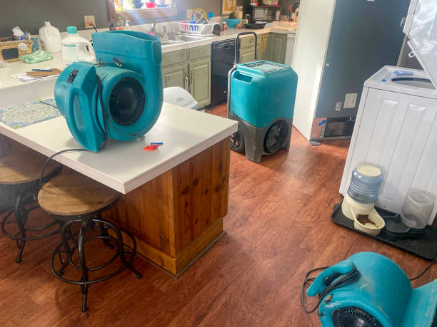 Best Residential water damage restoration  in Clintwood, VA