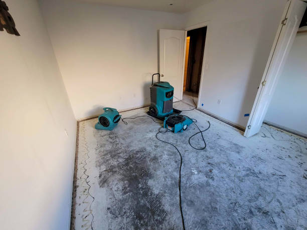 Best Water damage restoration company  in Clintwood, VA