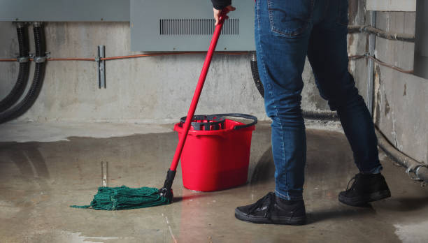  Clintwood, VA Water damage restoration Pros