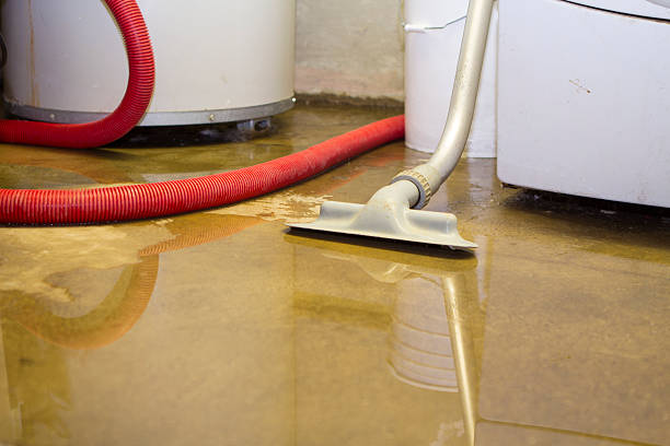 Best Water damage cleanup near me  in Clintwood, VA