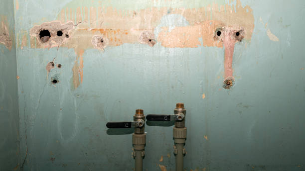 Best Commercial water damage restoration  in Clintwood, VA